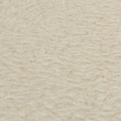 Image de détail du décor Savana (1458 BR)