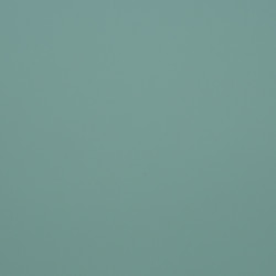 Image de détail du décor Vert d'Eau (3133 PLUS)