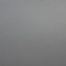 Image de détail du décor Cachemire Gris Argenté (7060 PE)