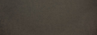 Produit Zinc Patiné (2926 PLUS)